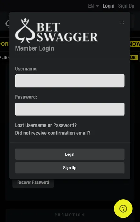 BetSwagger login screen