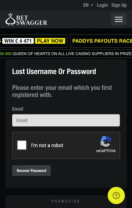 BetSwagger password reset screen